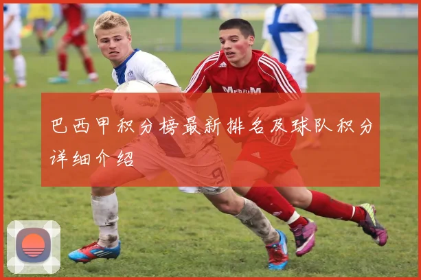 巴西甲积分榜最新排名及球队积分详细介绍