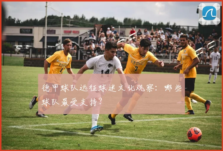 德甲球队远征球迷文化观察：哪些球队最受支持？