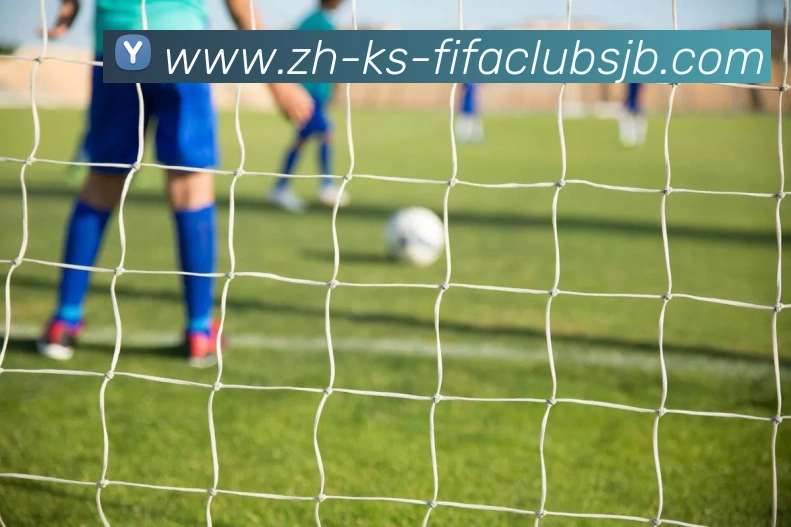 世界杯赛程平台生态图