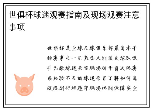 世俱杯球迷观赛指南及现场观赛注意事项